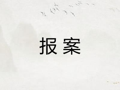报案