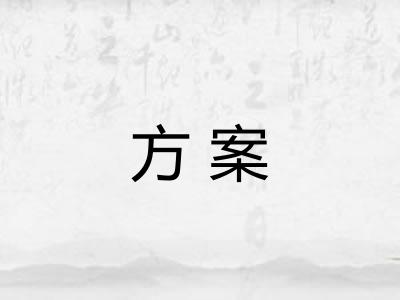 方案