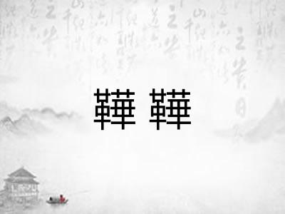 鞾鞾