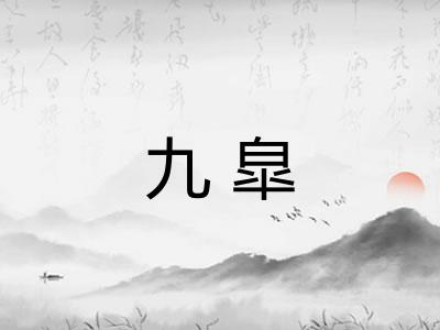 九皐