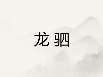 龙驷