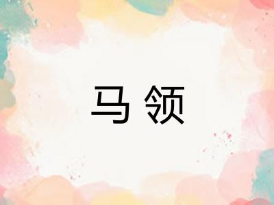 马领 马领