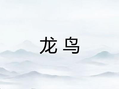 龙鸟