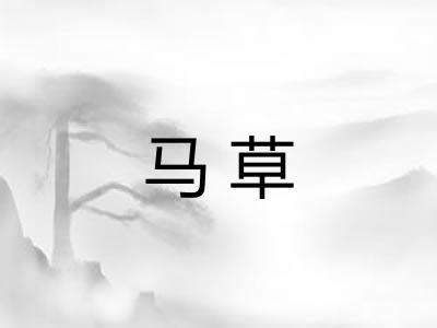 马草 马草