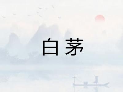 白茅