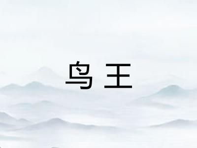 鸟王