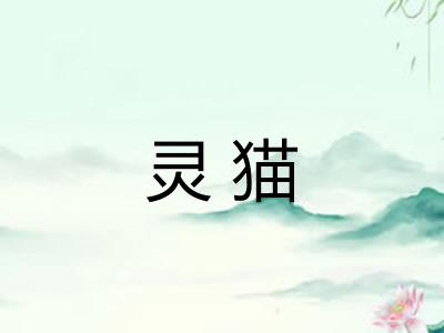 灵猫