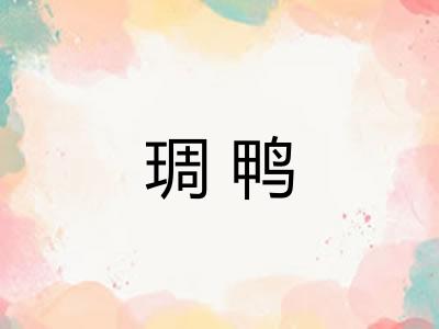琱鸭