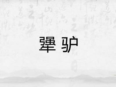 犟驴