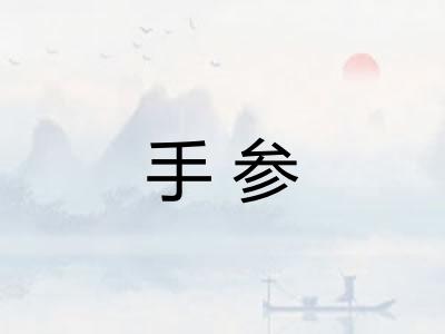 手参