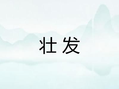 壮发
