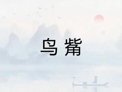 鸟觜