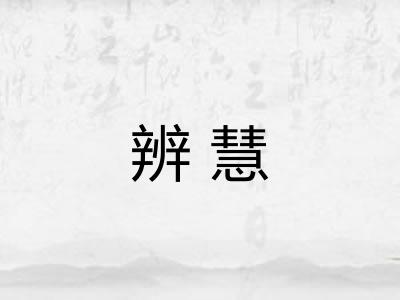 辨慧