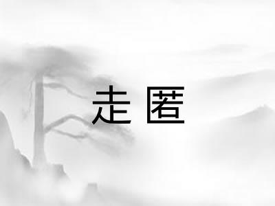 走匿