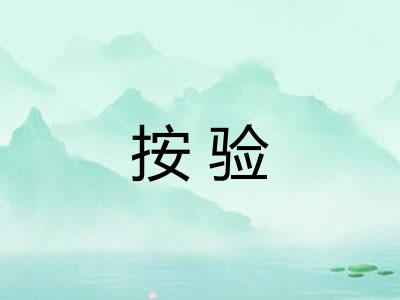 按验