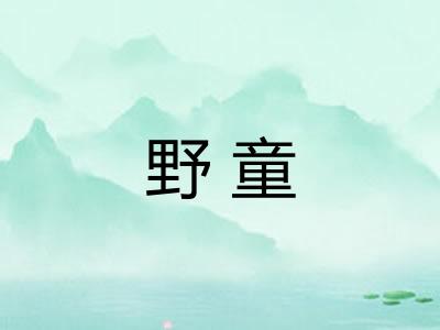 野童