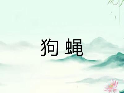 狗蝇
