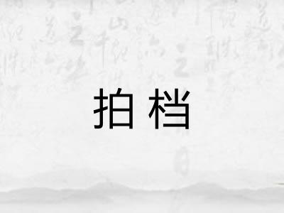 拍档