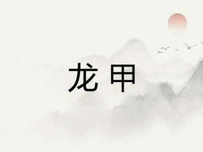 龙甲