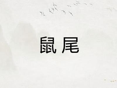鼠尾