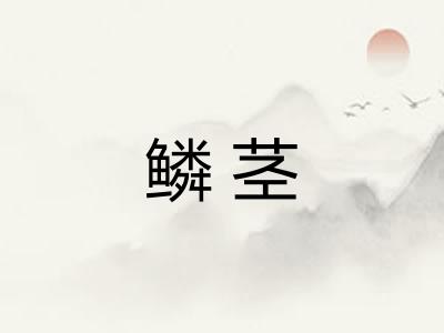 鳞茎