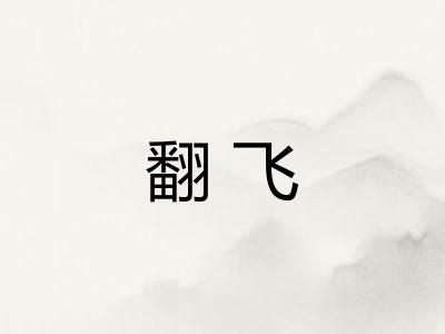 翻飞