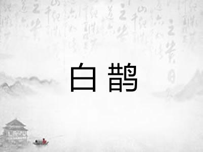 白鹊