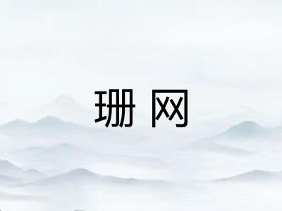 珊网