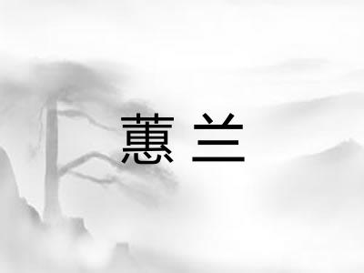 蕙兰