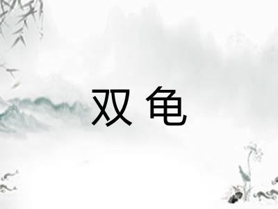 双龟