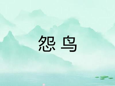 怨鸟