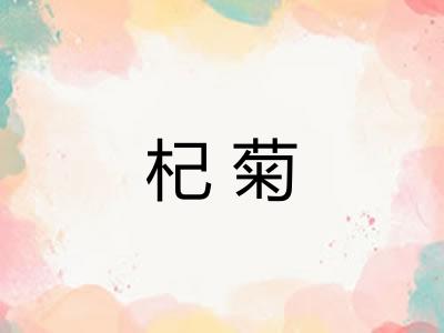 杞菊