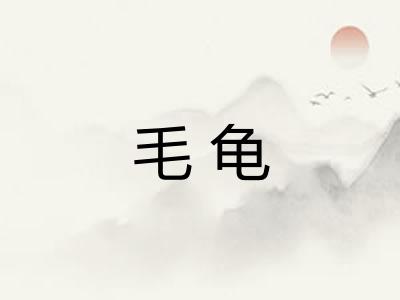毛龟