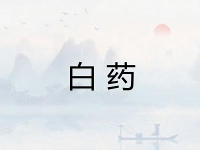 白药
