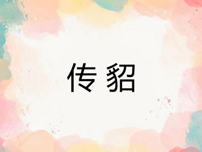 传貂