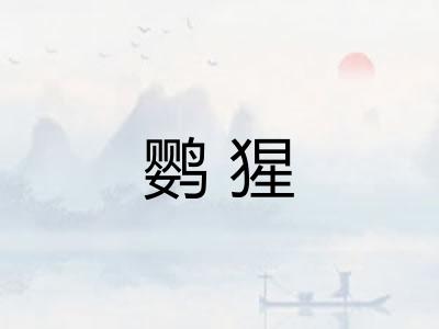 鹦猩