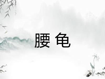 腰龟