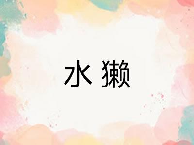 水獭
