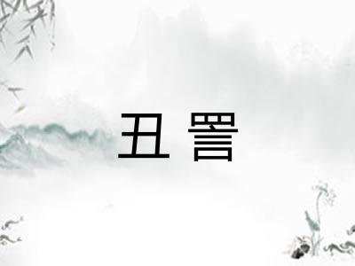丑詈
