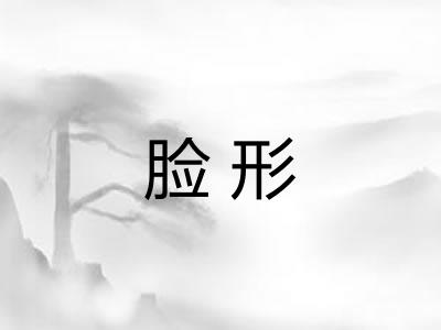 脸形