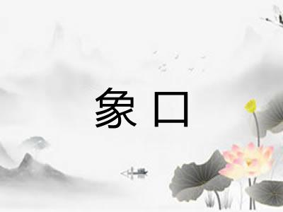 象口