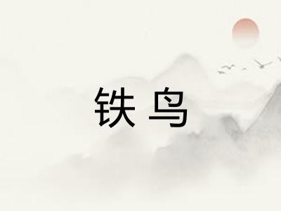 铁鸟