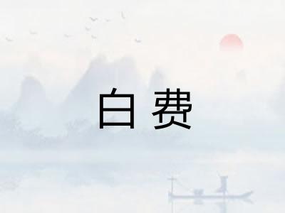 白费
