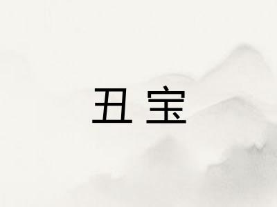 丑宝