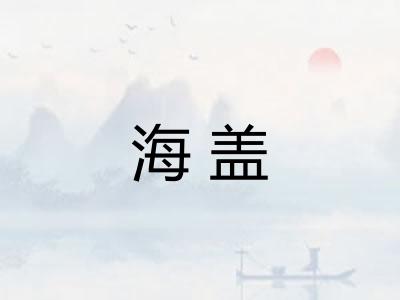 海盖