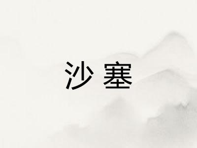 沙塞