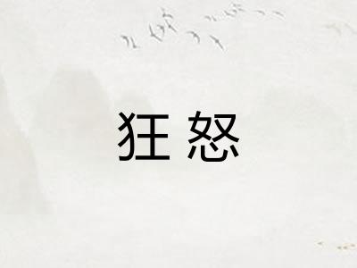 狂怒
