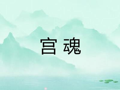 宫魂