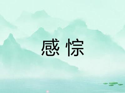 感悰