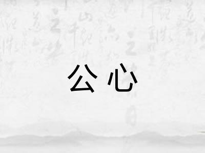 公心